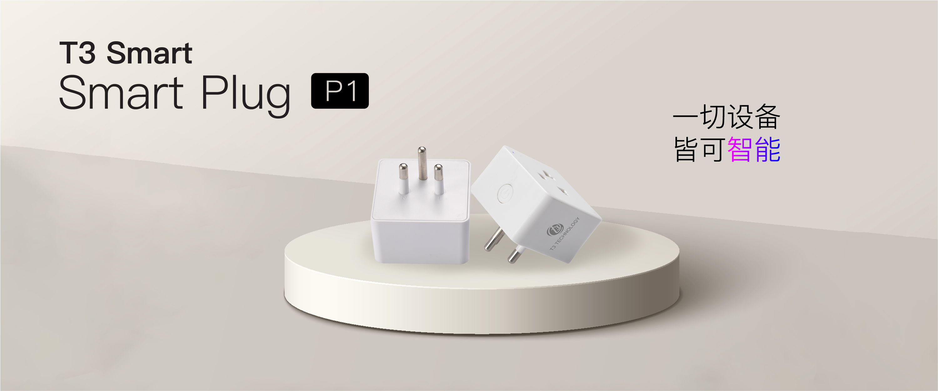 T3 Smart Plug P1